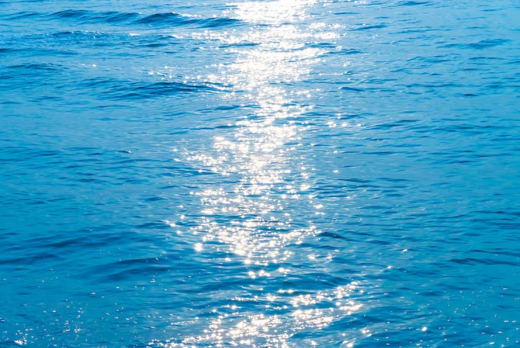 Sunlight sparkles through clear water on a bright, sunny day