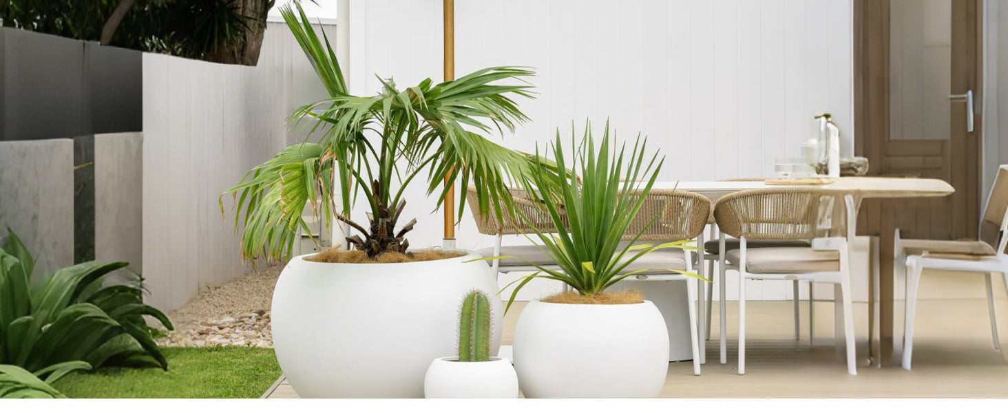 Potted plants on a patio with outdoor furniture in the background